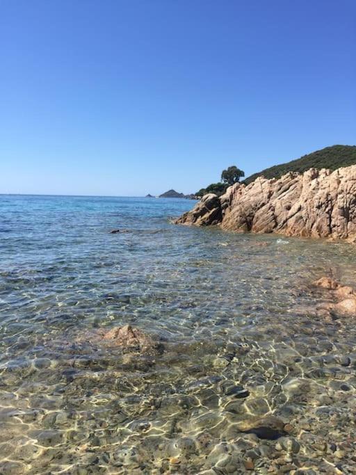 F2 Vue Mer Dans Residence Avec Piscine Ajaccio  Ngoại thất bức ảnh