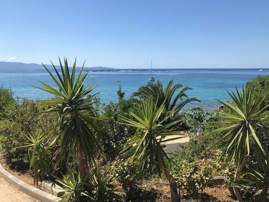 F2 Vue Mer Dans Residence Avec Piscine Ajaccio  Ngoại thất bức ảnh